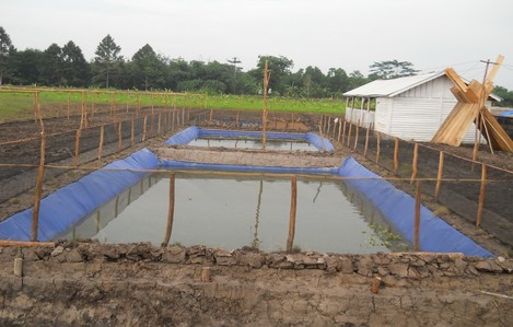 Kolam ikan Seed Center