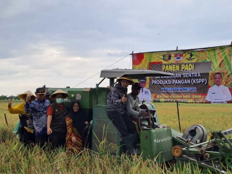 Panen Padi di KSPP Kabupaten Mesuji